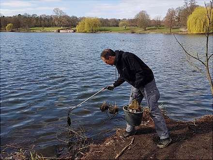 Aktion: Frühjahrsputz mit dem Neuntöter e.V. am Stadtparksee und Goldbekkanal