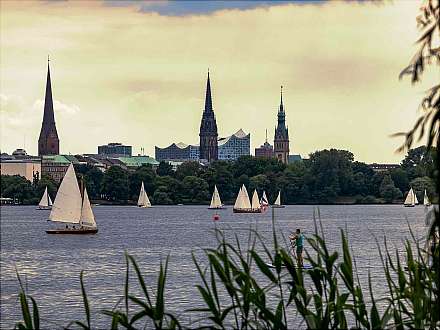 Führung: Lebendige Außenalster — Gewässerlebensraum im Herzen der Stadt