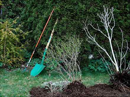 Gartenarbeit beim Sierichschen Forsthaus