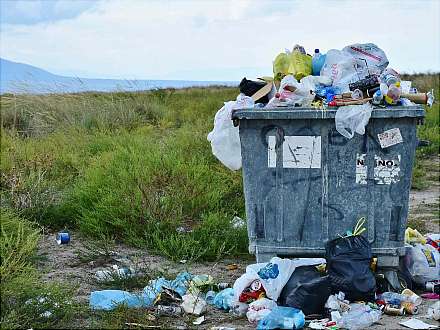 Helfende Hände: Gemeinsam gegen den Dreck