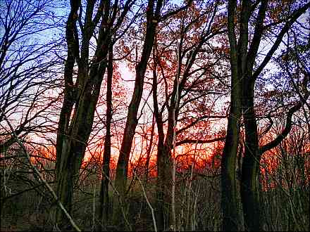 Waldpilgern am Freitagabend